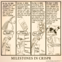 Cartoon: Milestones in CRISPR, Conceived by Phil Ness, drawn by Reeve, 2023.